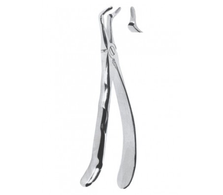 Extracting Forceps